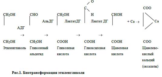 Токсикологическая характеристика этиленгликоля, метанола, дихлорэтана, тетраэтилсвинца.
