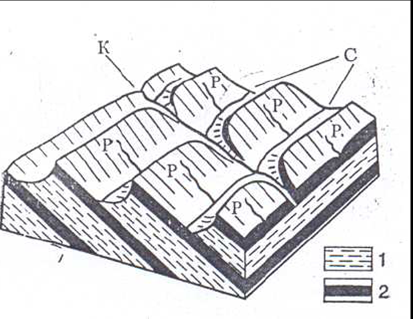 Блок-диаграмма моноклинально-грядового (куэстового) рельефа (по Леонтьеву, Рычагову).