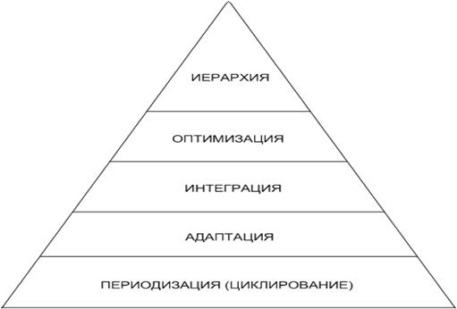 Эволюционная пирамида системы научного исследования.