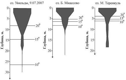 Рис. 4. Вертикальное распределение планктонных организмов по результатам послойного облова столба воды в самой глубокой части акватории, пояснения в тексте.