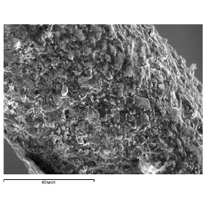 Рисунок 3 - Микрорельеф поверхности имплантата никелида титана марки ТН -10.