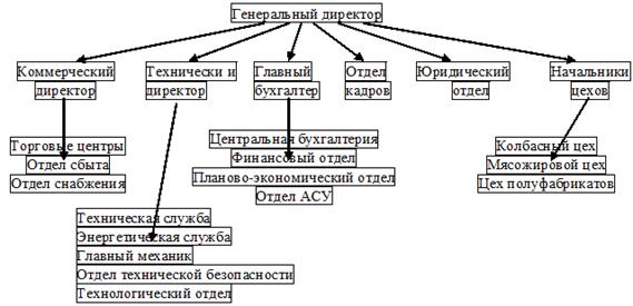 Организационная структура управленческого аппарата ООО «Троян».