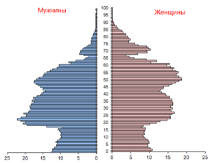 Половозрастная пирамида населения Мурманской области Источник.