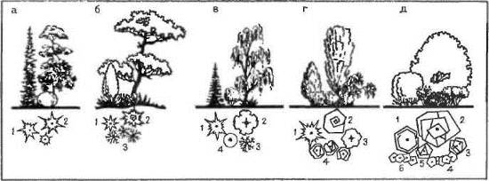 Ландшафтные группы, контрастные по форме кроны а—стабильная группа; 1— пихта одноцветная; 2—сосна обыкновенная; 3— туя западная шаровидная; б — полустабильная группа.