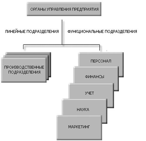 Организационная структура ОАО «Лукойл-Транс-Авто».