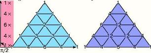 Построение треугольника Паскаля.