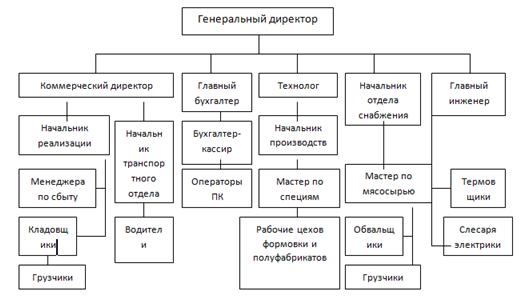 Организационная структура управления ООО «Ваши колбасы».