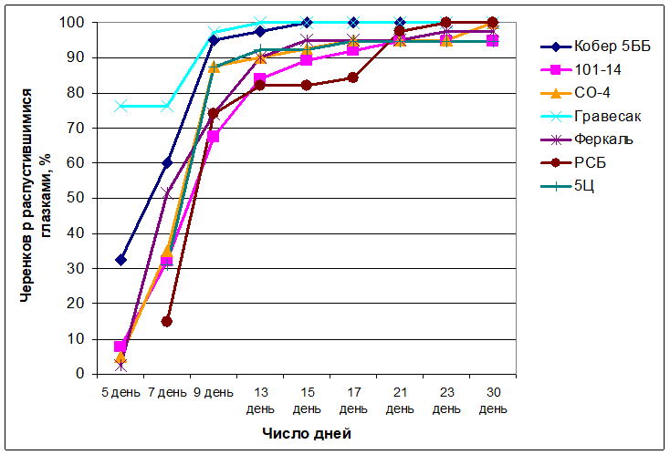 Динамика распускания глазков на черенках подвойных сортов винограда в зависимости от сортовых особенностей, 2012 г.