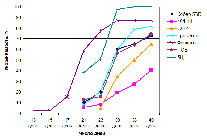 Динамика укореняемости черенков подвойных сортов винограда в зависимости от сортовых особенностей, 2012 г. (НСР05-40-й день- 9,0%).