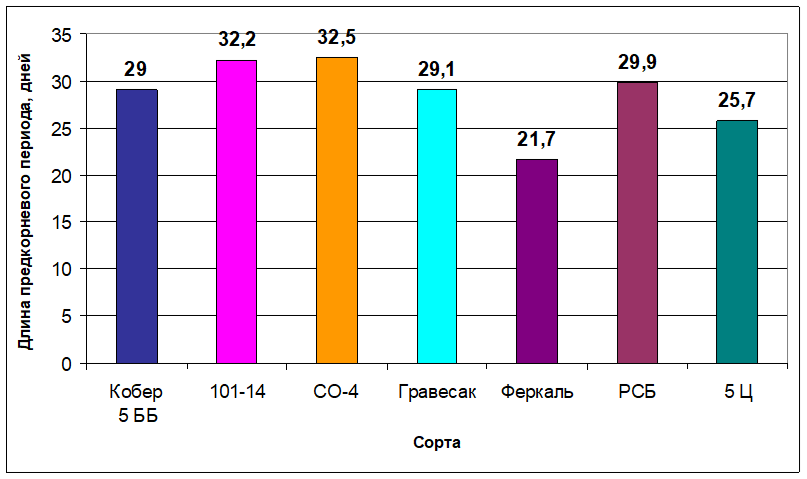 Длина предкорневого периода на черенках подвойных филлоксероустойчивых сортов винограда в зависимости от сортовых особенностей, 2012г.