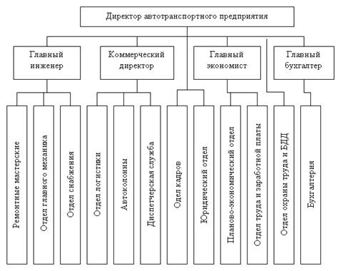 Организационная структура ООО «Транспортная компания».