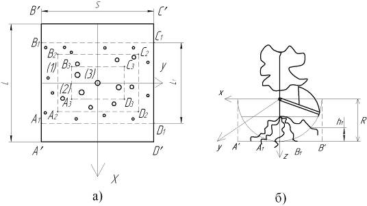 Рисунок 6 Схема участка грунта с корневой системой саженца - (а); зона среза корневой системы (б).