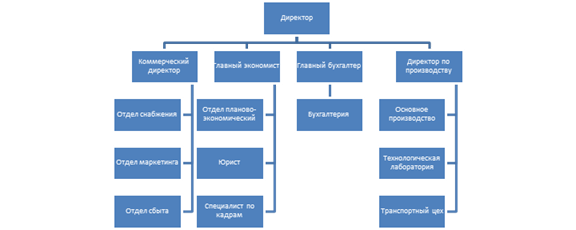 Организационная структура ООО «Старт-Плюс».