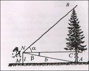 Схема измерения высоты дерева высотомером.