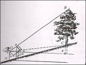 Измерение высоты дерева, находящегося на повышении, при помощи высотомера, построенного на геометрическом принципе.