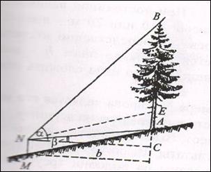 Схема измерения высоты дерева на повышенном склоне.