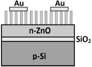 Схематическое изображение структуры Au/ZnO(наностержни)/ZnO(пленка)/ZnO(наностержни)/Au на подложке Si.