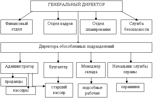 Организационная структура магазина ООО «Герань».