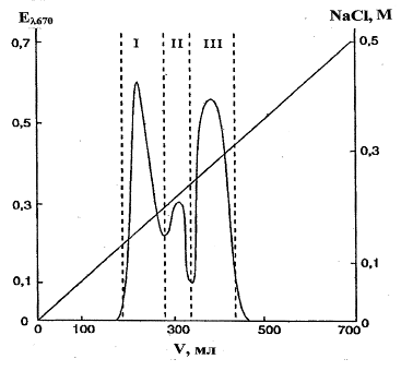 Ионообменная хроматография препарата ТК клеточной стенки N.