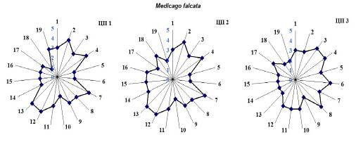 Круговые диаграммы организменных и популяционных показателей Medicago falcata L.