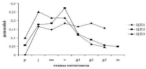 Распределение особей по онтогенетическим состояниям в ценопопуляциях Oxytropis candicans (Pall)DC.