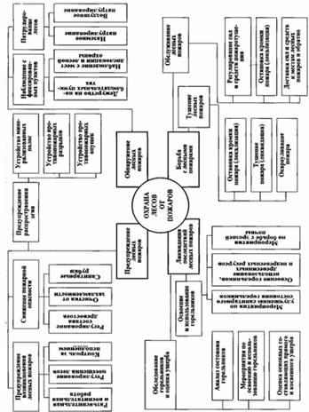 Функциональная структура системы охраны лесов от пожаров [7].