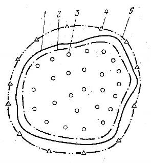 Рисунок 29 Схема разработки нефтяного месторождения с применением законтурного заводнения 1 — внешний контур нефтеносности; 2 — внутренний контур нефтеносности; 3 — добывающие скважины; 4 — нагнетательные скважины; 5 — контур нагнетательных скважин.