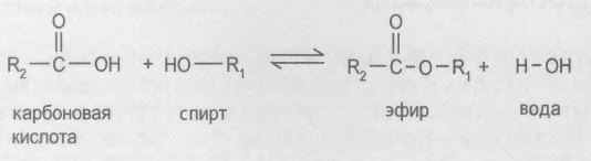 Краткая схема реакций этерификации и омыления.