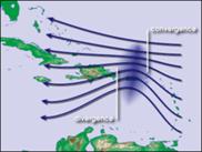 Формирование. Структура тропического циклона.