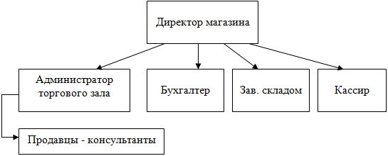 Организационная структура магазина розничной торговли .