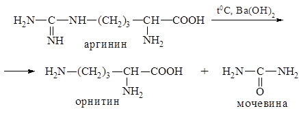 Реакции аминогруппы. Амины, аминоспирты, аминокислоты, белки.