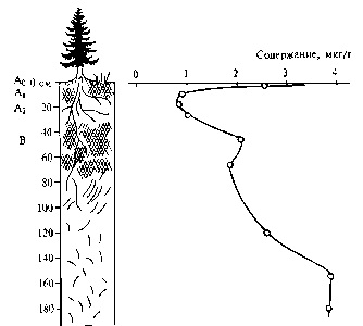 Распределение молибдена по профилю дерново-подзолистой почвы (Ярославская область).