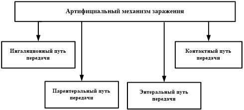 Схема артифициального механизма заражения.