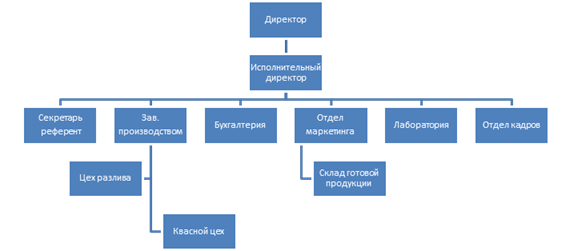 организационная структура «Водолей-98».