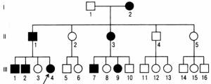 Мутагены. Классификация мутаций. Обозначения, принятые для изображения генеалогического дерева. Типы наследования дефектов в геноме.