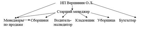 Структура управления ИП Вершинин О.Л.