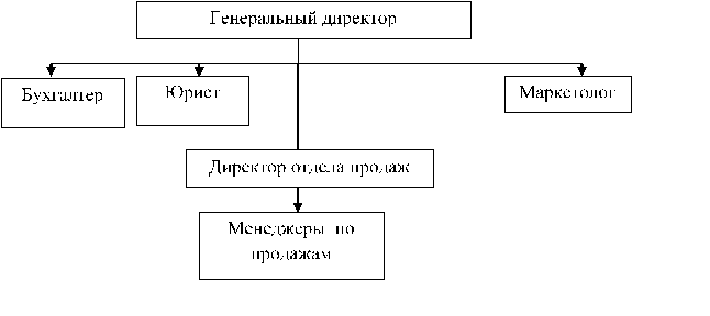 Организационная структура управления ООО «Озон».