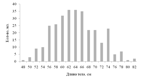 Размерный состав промысловых уловов щуки в 2008 г. в Вилюйском водохранилище (n=309 экз.).