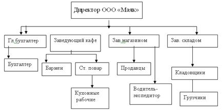 Схема организационной структуры управления торговым предприятием ООО «Маяк».