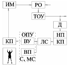 Структура системы автоматического управления (САУ).