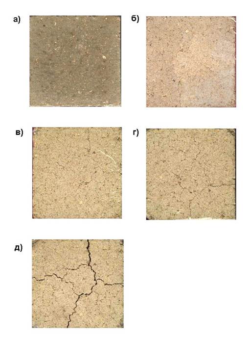 Характер трещинообразования прессованных образцов из глиношлакового вяжущего с шамотным песком после испытаний на термостойкость.