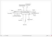диаграмма бизнес процессов агрохолдинга «Авида» (А-0).