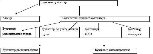 Структура бухгалтерии ФГУП «Докучаевское».