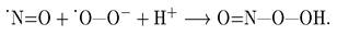 Характеристика отдельных радикалов и активных форм кислорода. Перекись водорода. NO, Пероксинитрит ONOO-, Гипохлорноватистая кислота.