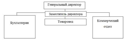 Организационная структура торговой организации ООО .