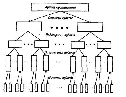 Структура аудита организаций.