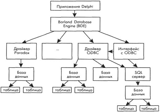 Схема связи приложения Delphi с базами данных.