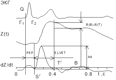 Амплитудно-временные параметры РКГ сигнала.