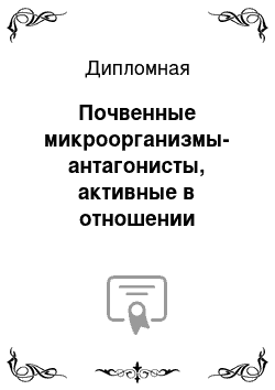 Дипломная: Почвенные микроорганизмы-антагонисты, активные в отношении фитопатогенных грибов р. Fusarium и р. Bipolaris