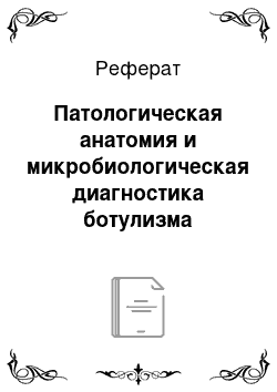 Реферат: Патологическая анатомия и микробиологическая диагностика ботулизма